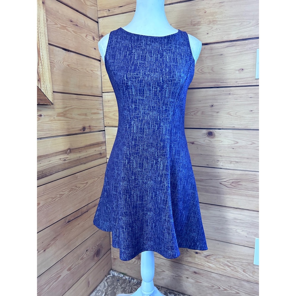 Jolie Purple Silver Metallic Knit Fit and Flare Skater Dress Womens XS 23928